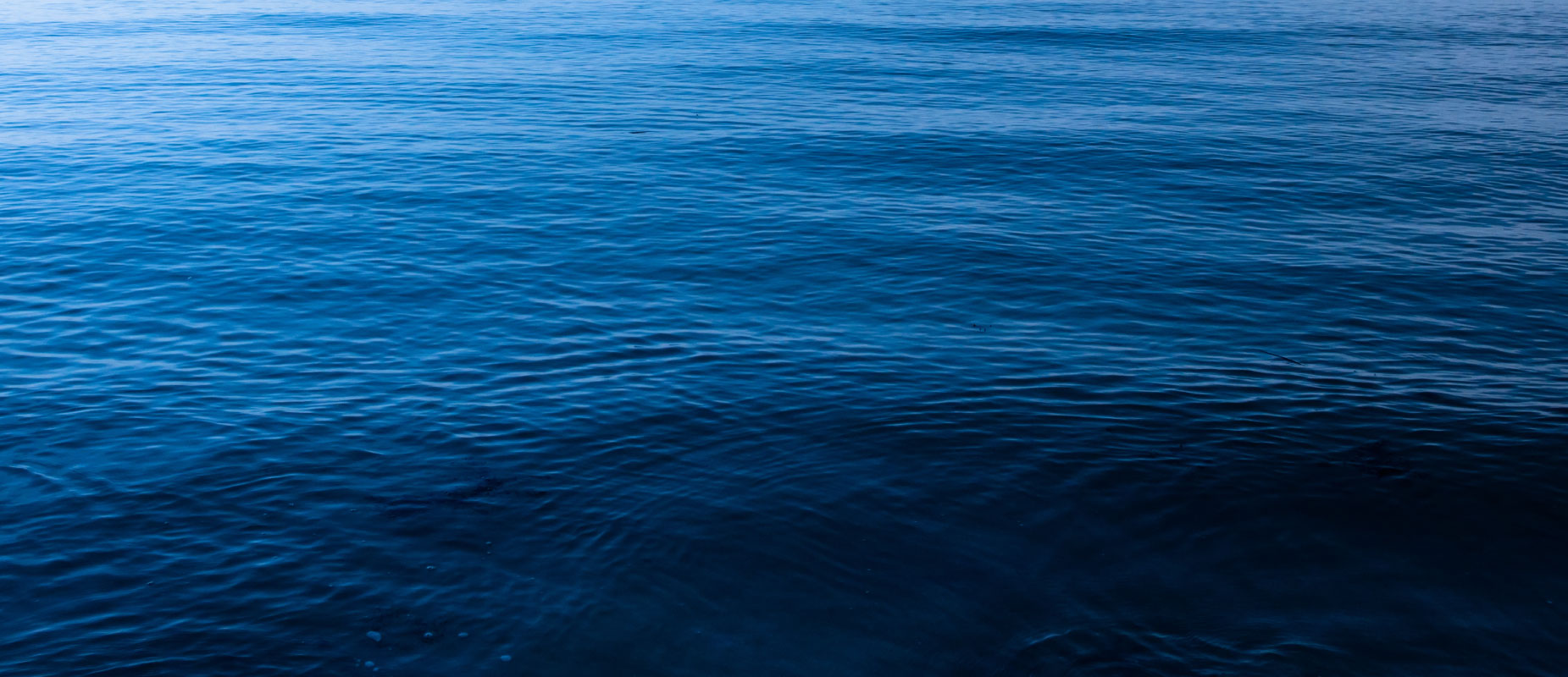 fondo-banner5