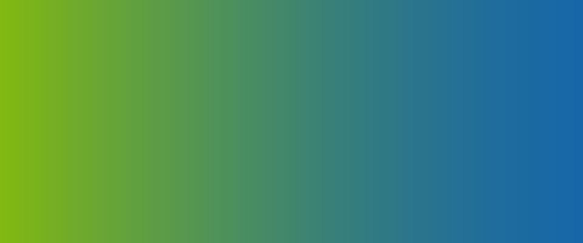 fondobanner1