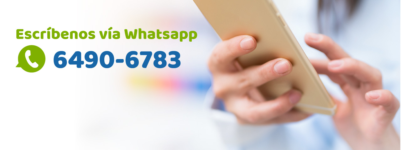 Contacto por Whatsapp, nuevo servicio al cliente, Whatsapp contact, new customer service