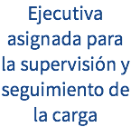 Ejecutiva asignada para la supervisión y seguimiento de la carga