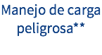Manejo de carga peligrosa**